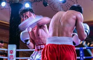 吃瓜娱乐拳击视频下载